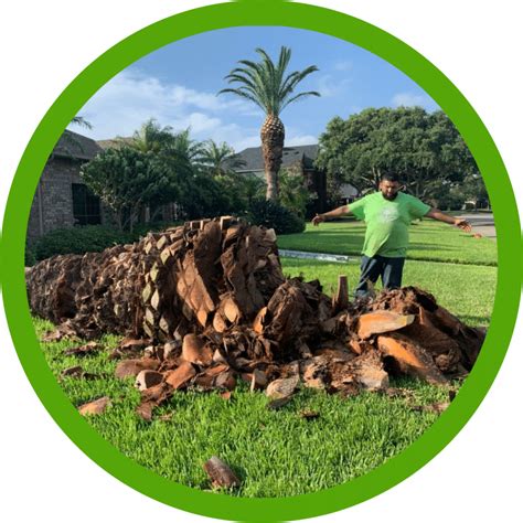 cc's tree service and landscaping.